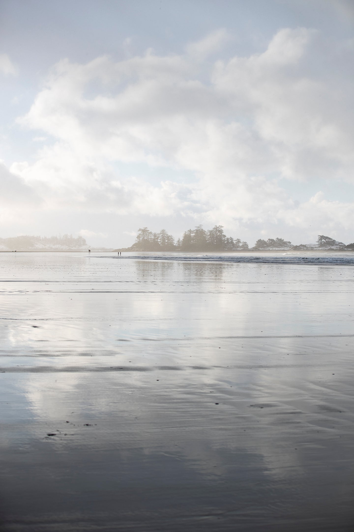 Winter Reflections (Vertical)