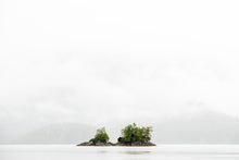 Load image into Gallery viewer, Horizontal Simplicity
