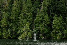 Load image into Gallery viewer, Lush
