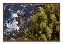 Load image into Gallery viewer, Ocean to Old Growth
