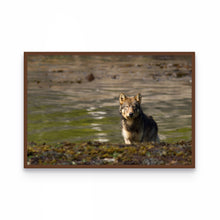 Load image into Gallery viewer, Gift Certificate
