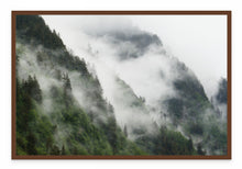 Load image into Gallery viewer, Haida Fog
