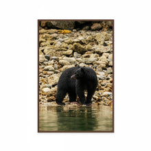 Load image into Gallery viewer, Pondering Bear
