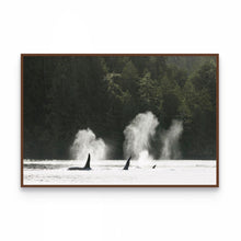 Load image into Gallery viewer, Iconic
