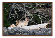 Load image into Gallery viewer, Mother Daughter
