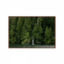 Load image into Gallery viewer, Lush
