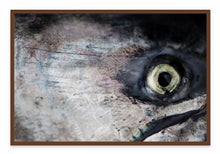 Load image into Gallery viewer, Salmon Eye
