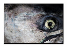 Load image into Gallery viewer, Salmon Eye
