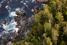 Load image into Gallery viewer, Ocean to Old Growth
