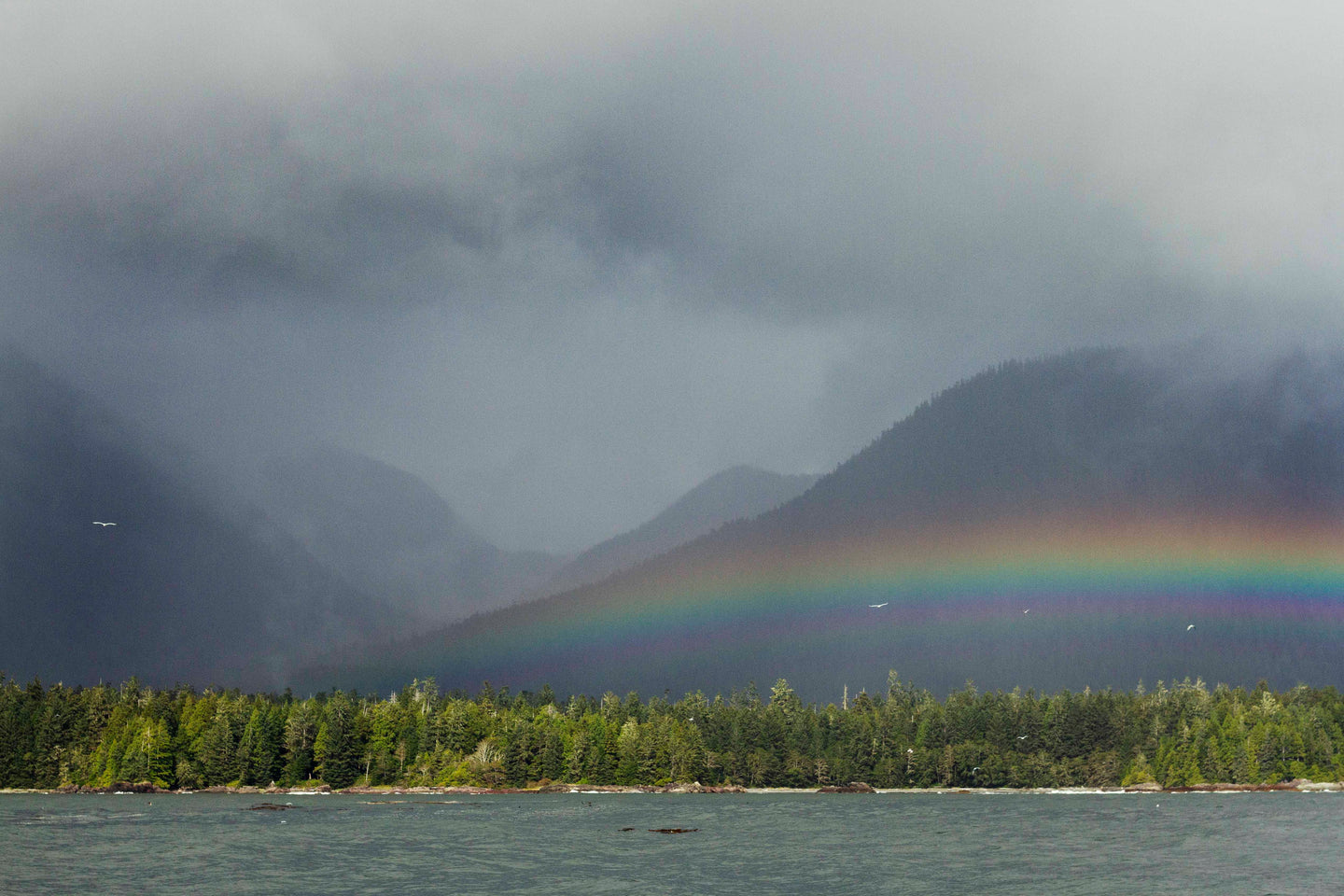 Cow Bay Rainbow