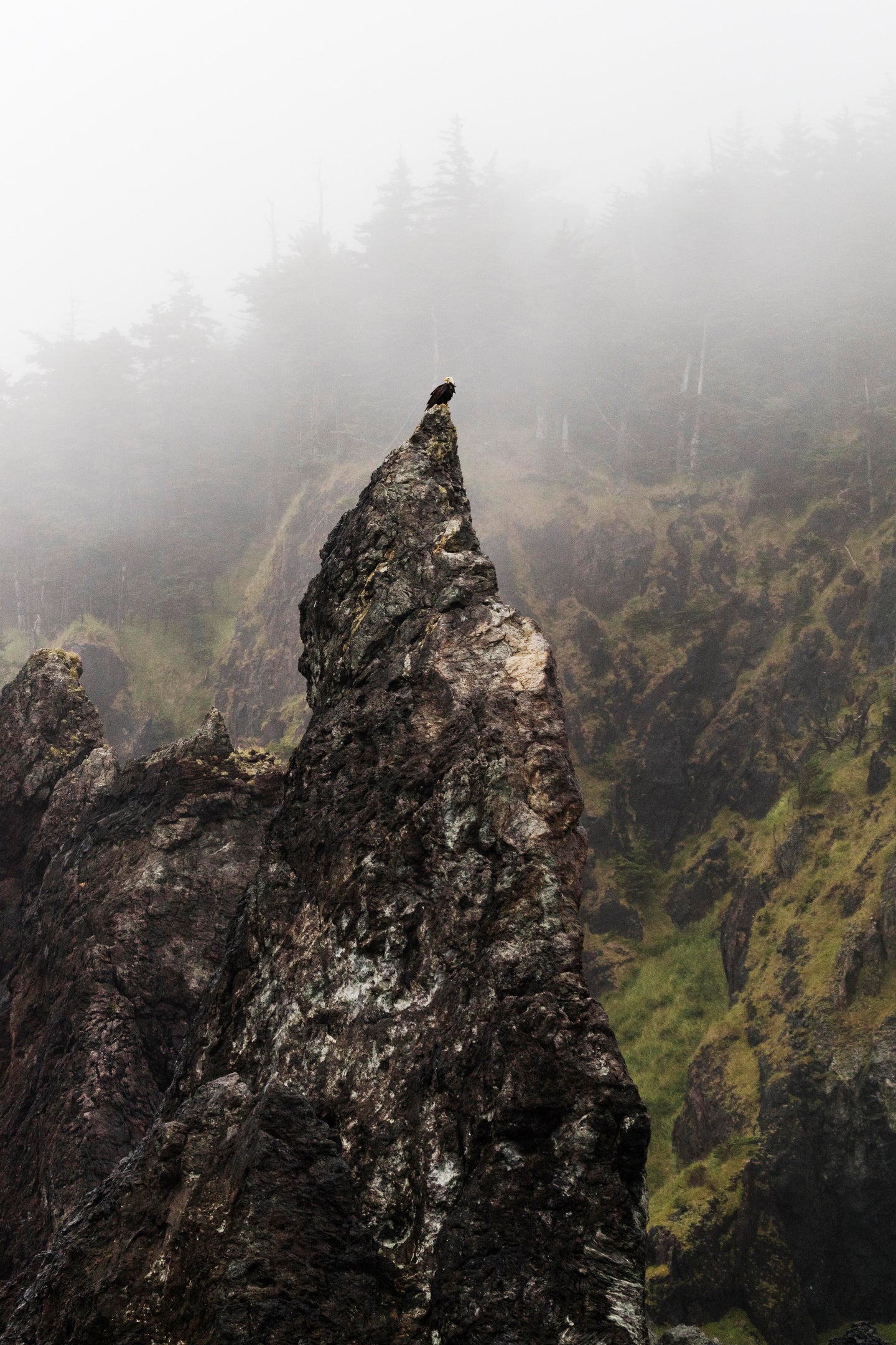 South Pass Watchman (vertical)