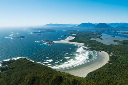 Tofino Aerial