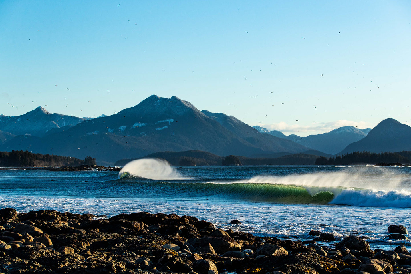 Duelling Peaks