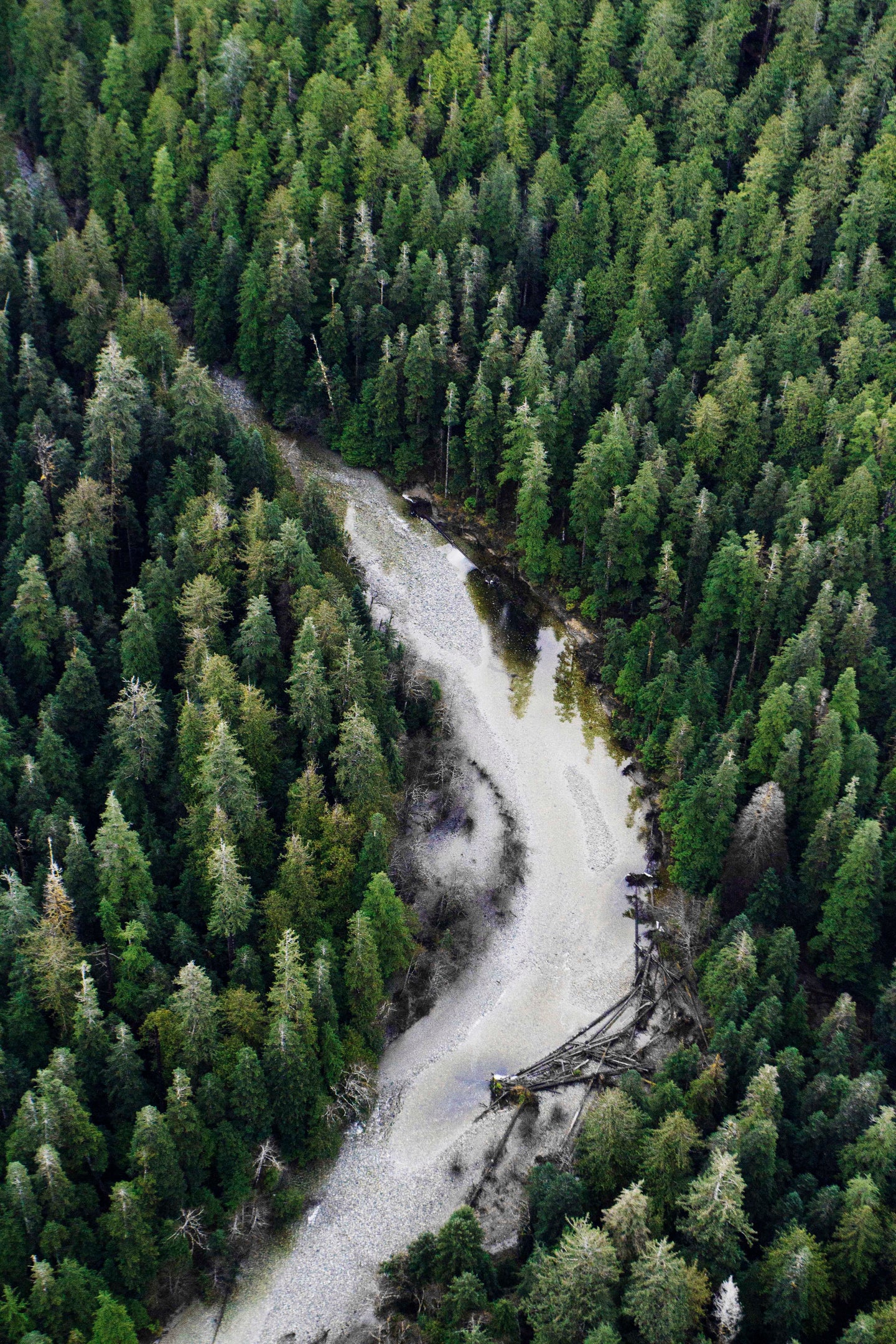 River Beds