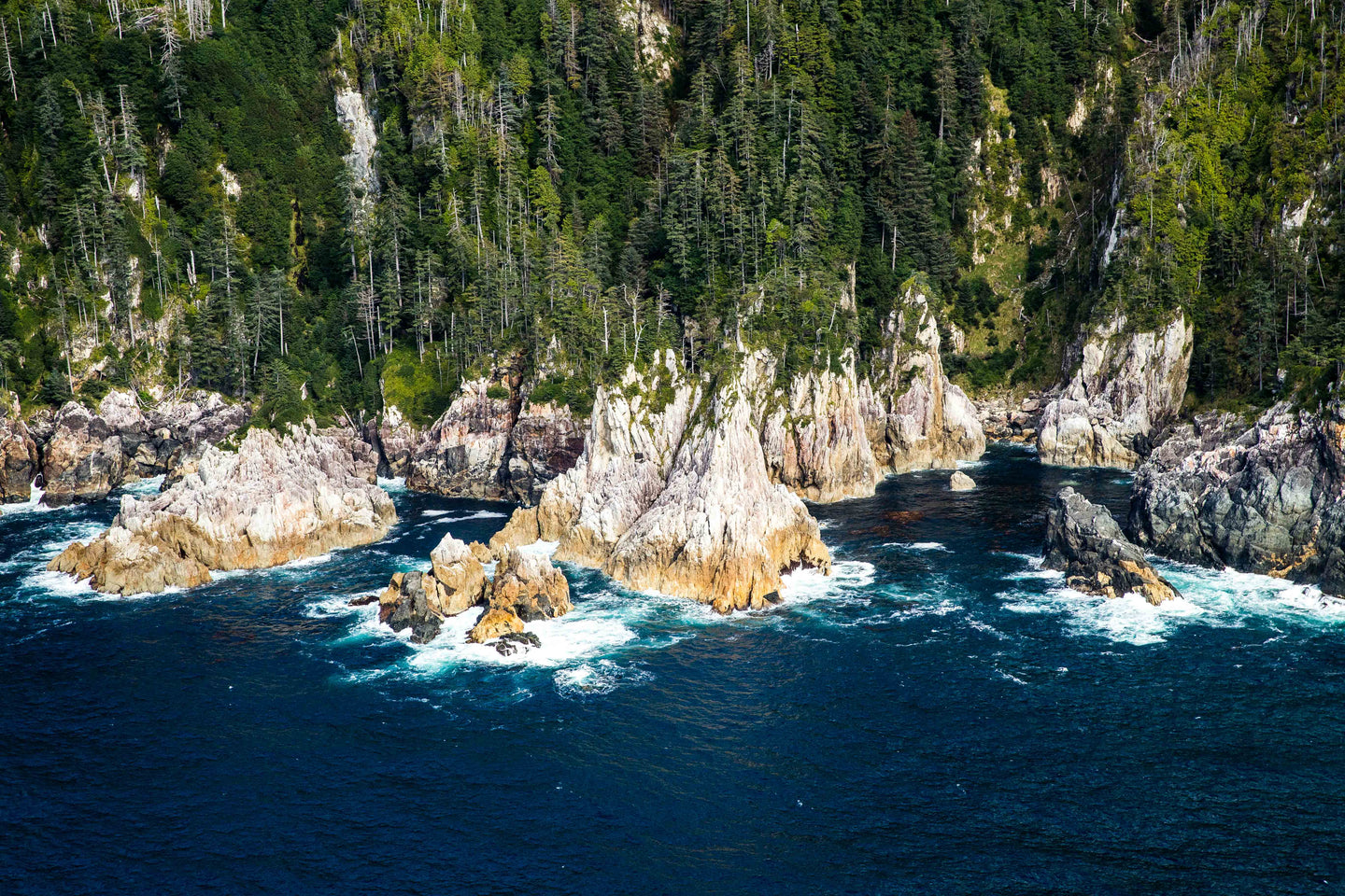 Rugged Coast